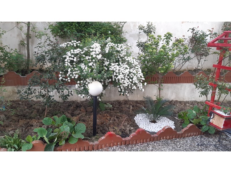 عکس شماره 622229 - اجاره ویلای جنگلی در رامسر - 