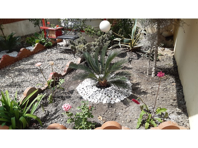 عکس شماره 622233 - اجاره ویلای جنگلی در رامسر - 