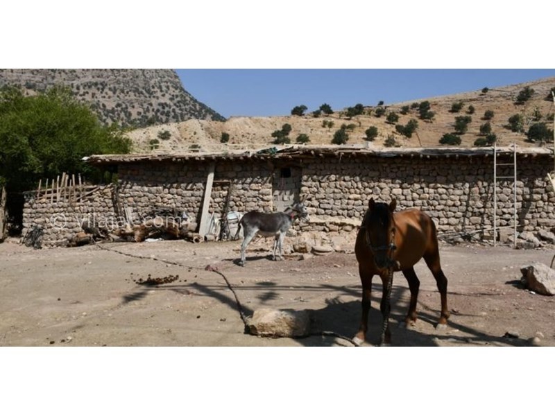 عکس شماره 622283 - اقامتگاه بومگردی عشایری پاپیلا - 