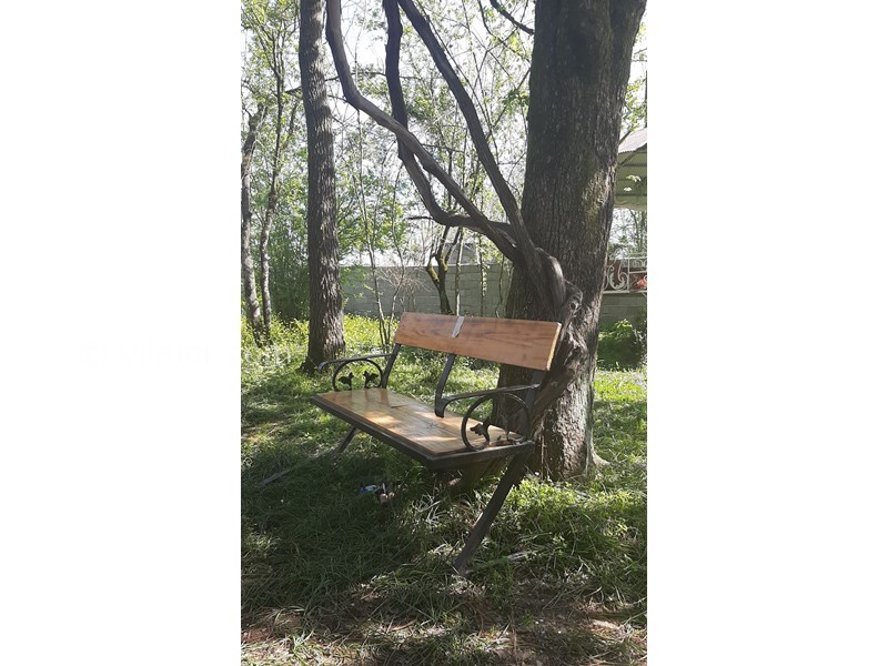 عکس شماره 622410 - اجاره ویلا باغ جنگلی در ماسال - 