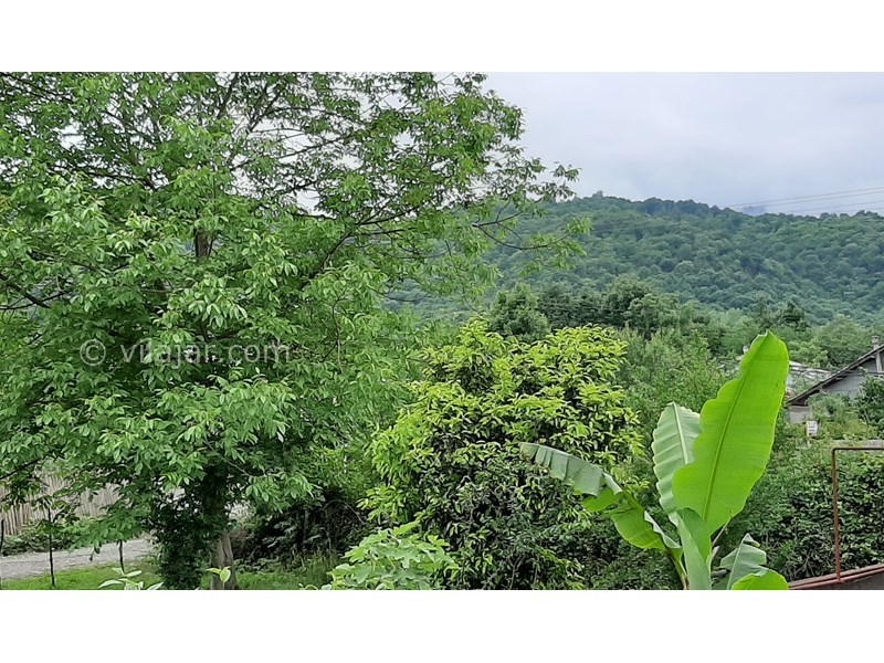 عکس شماره 622412 - اجاره ویلا باغ جنگلی در ماسال - ویو و چشم اندازه ویلا 