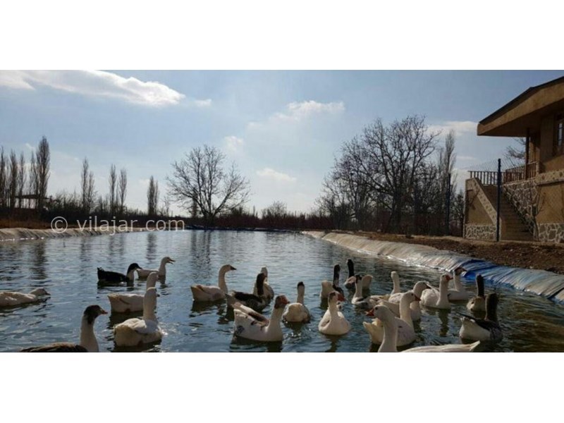 عکس شماره 622623 - اقامتگاه بوم گردی عارف خرقانی - 