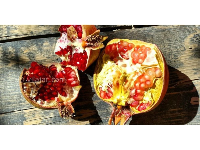 عکس شماره 622646 - اقامتگاه بوم گردی خانه ناصرلشکر -