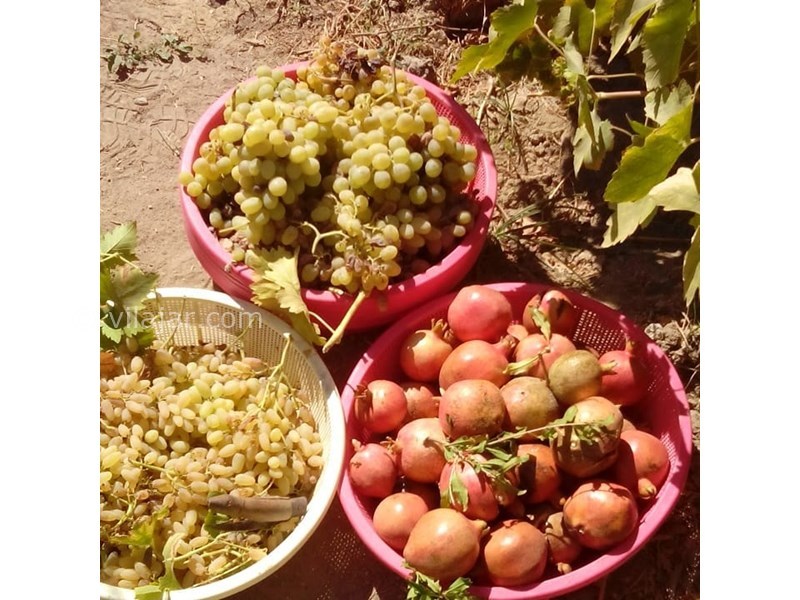 عکس شماره 622703 - اقامتگاه بوم گردی کندر کهن -