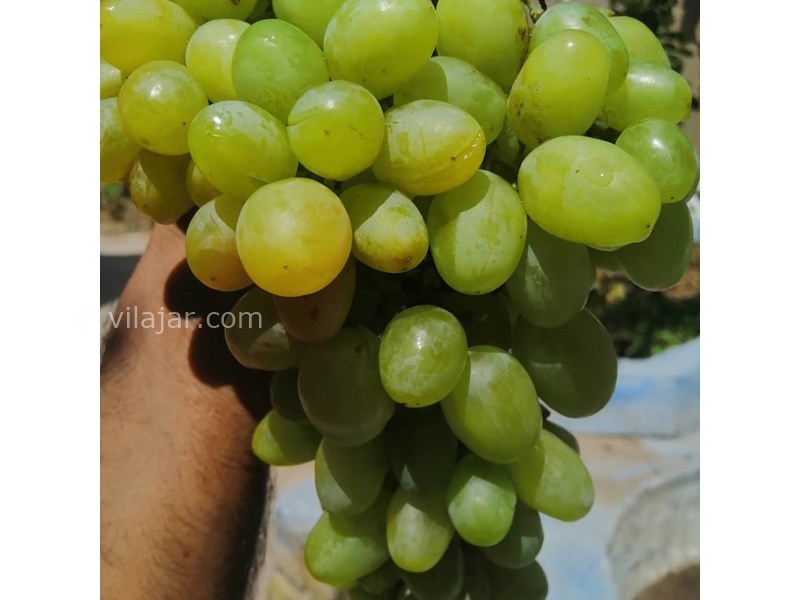 عکس شماره 622706 - اقامتگاه بوم گردی کندر کهن -