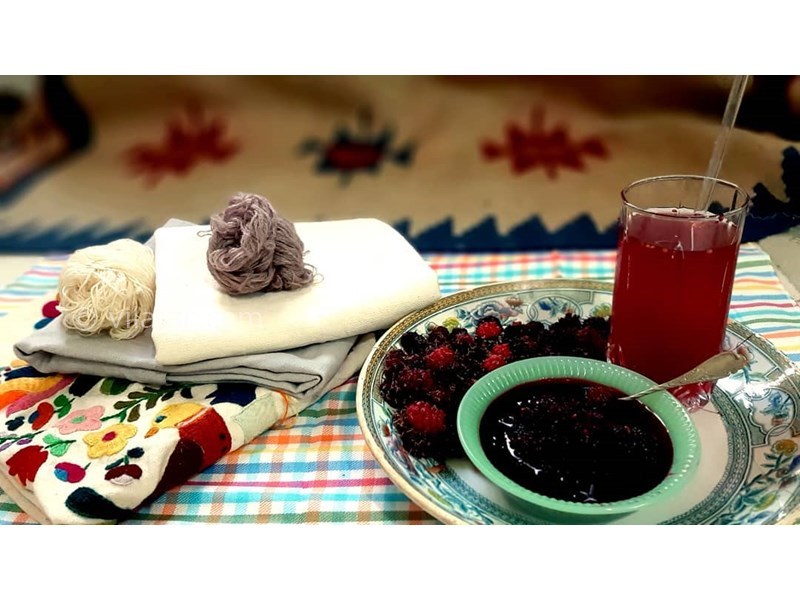 عکس شماره 623140 - اقامتگاه بوم گردی خانه ناصرلشکر -