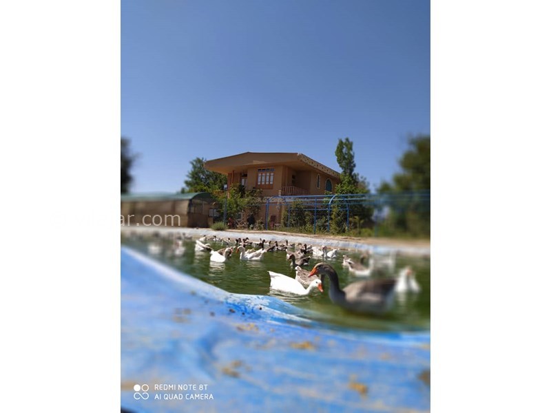 عکس شماره 623164 - اقامتگاه بوم گردی عارف خرقانی - 