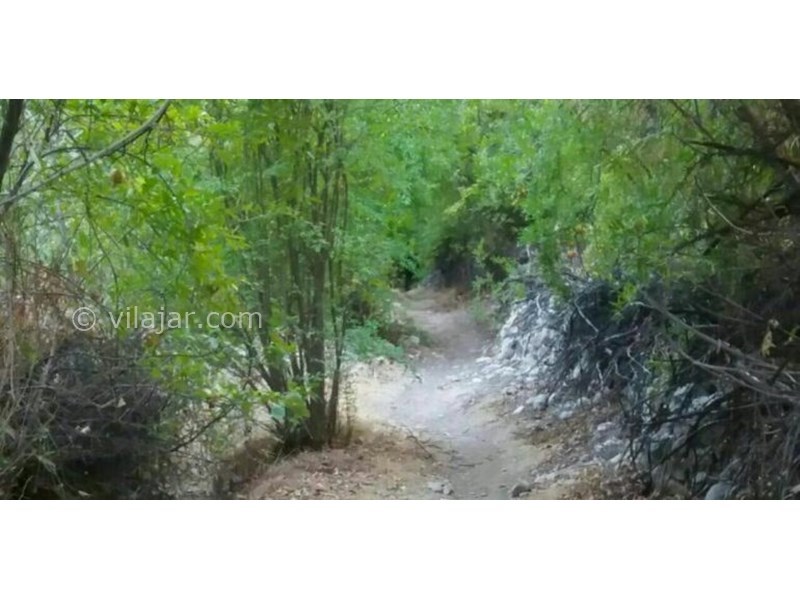 عکس شماره 623466 - اقامتگاه بومگردی جاماسب -