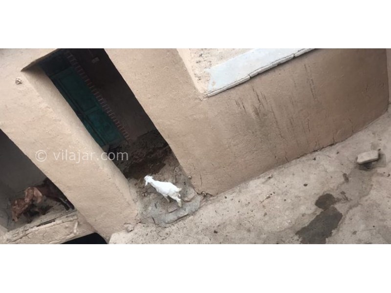 عکس شماره 623477 - اقامتگاه بومگردی جاماسب -