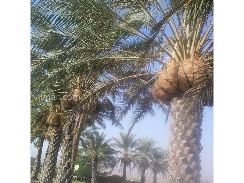 عکس شماره 624267 - اقامتگاه بوم گردی باچان - 