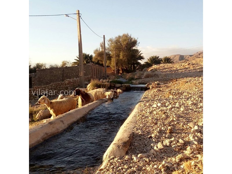 عکس شماره 624269 - اقامتگاه بوم گردی باچان - 