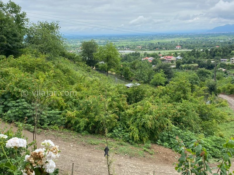 عکس شماره 624530 - کلبه چوبی جنگلی شاندرمن ماسال - 