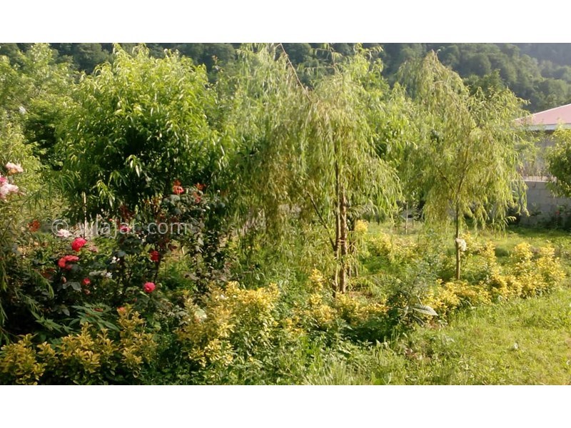 عکس شماره 624670 - اجاره ویلا در قلعه رودخان - 