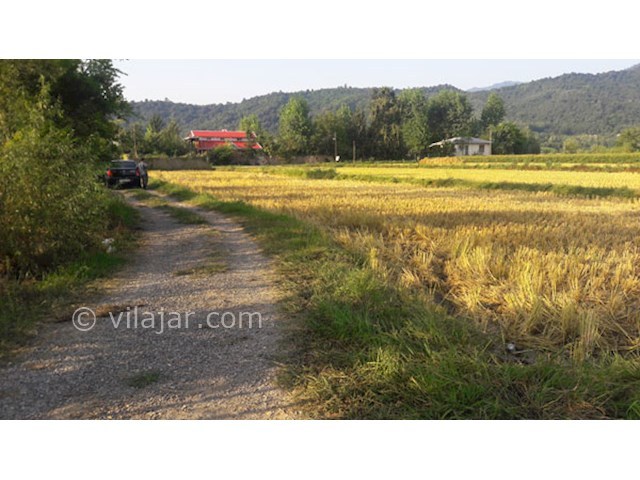 عکس شماره 62503 - اجاره ویلا استخر آبگرم در ماسال - 