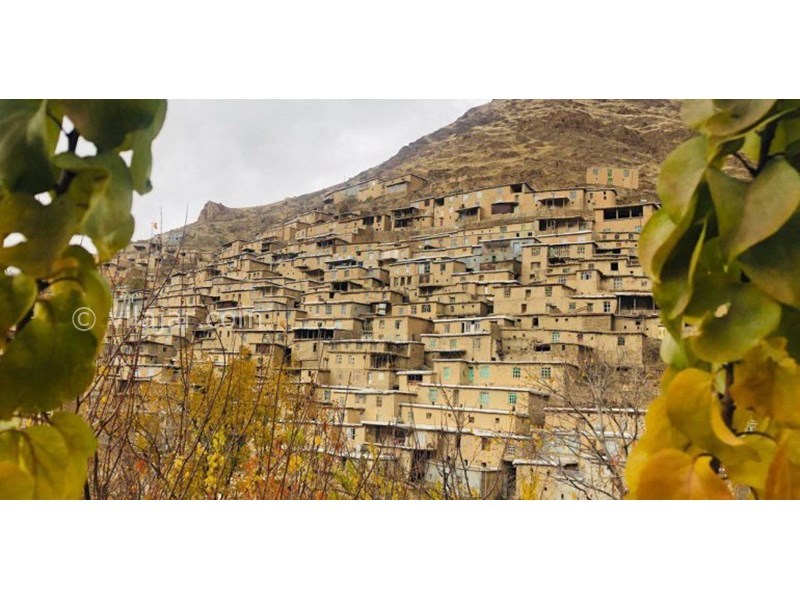 عکس شماره 625350 - اقامتگاه بوم گردی تریفه - 