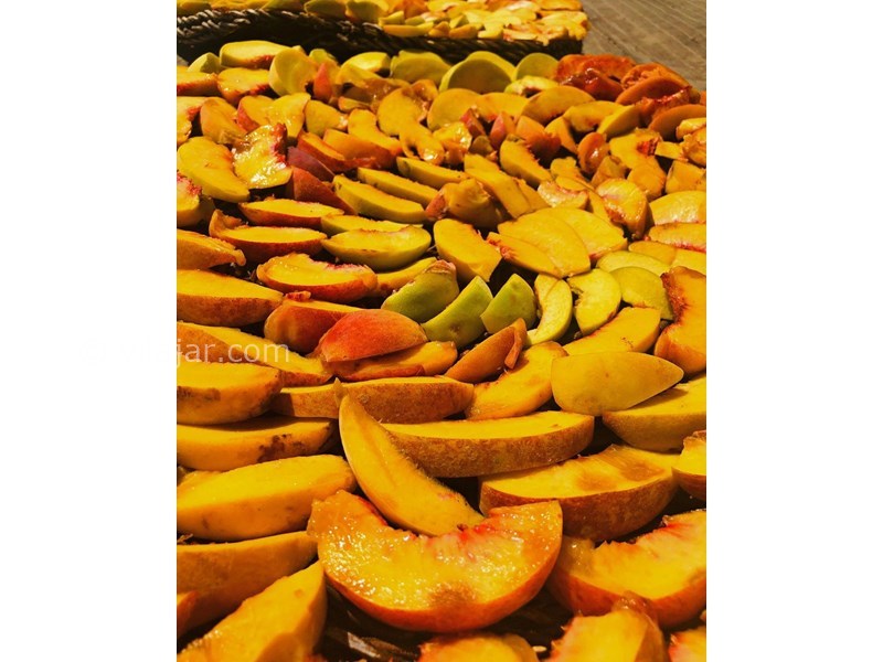 عکس شماره 625362 - اقامتگاه بوم گردی تریفه - 