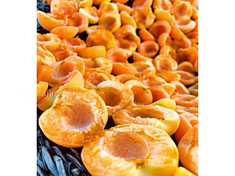 عکس شماره 625363 - اقامتگاه بوم گردی تریفه - 