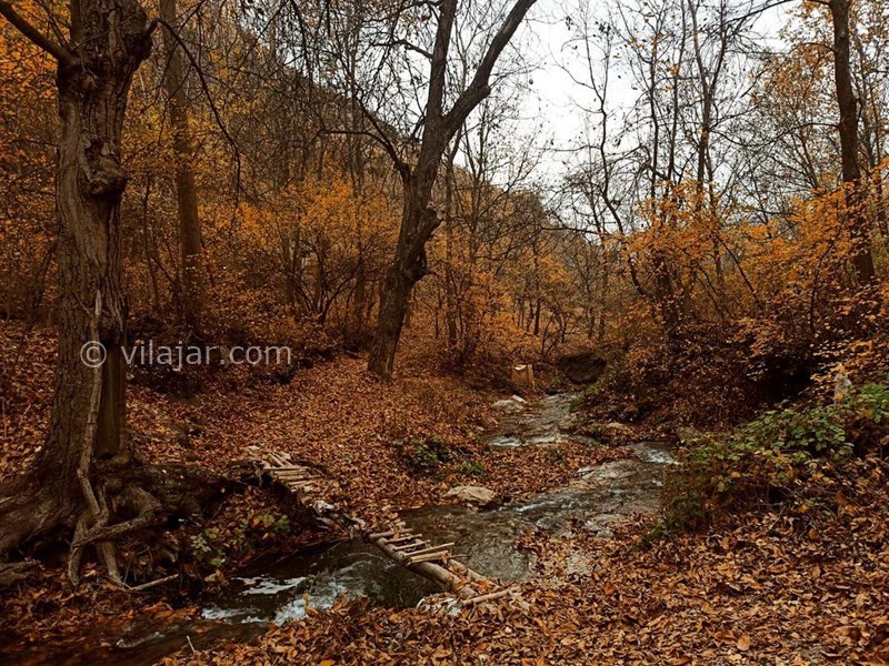 عکس شماره 625393 - اقامتگاه بومگردی سروک - 