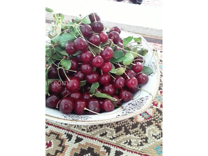 عکس شماره 625503 - اقامتگاه بوم گردی گلین - 