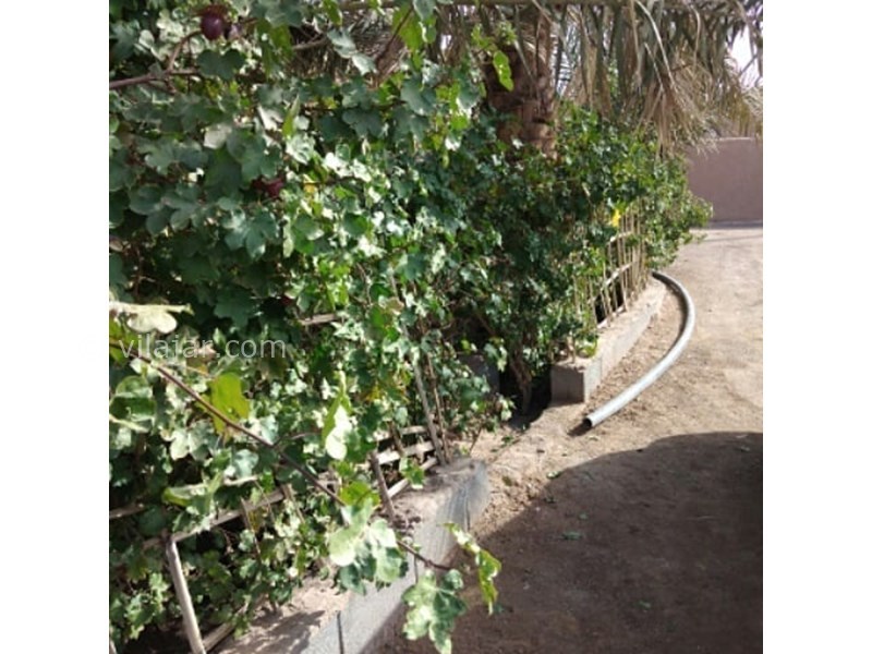 عکس شماره 625789 - اقامتگاه بوم گردی یادگار - 