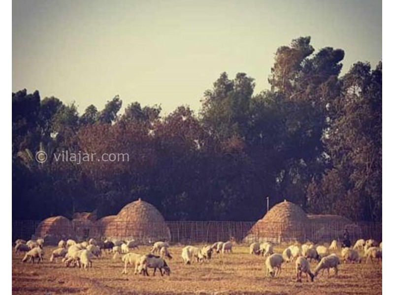 عکس شماره 625796 - اقامتگاه بوم گردی آدور - 