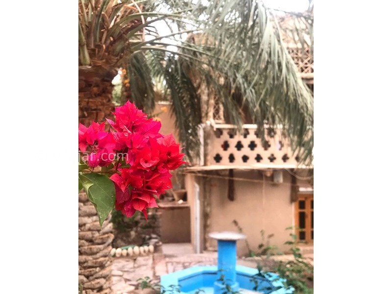 عکس شماره 626178 - اقامتگاه بوم گردی کاشکیلو - 