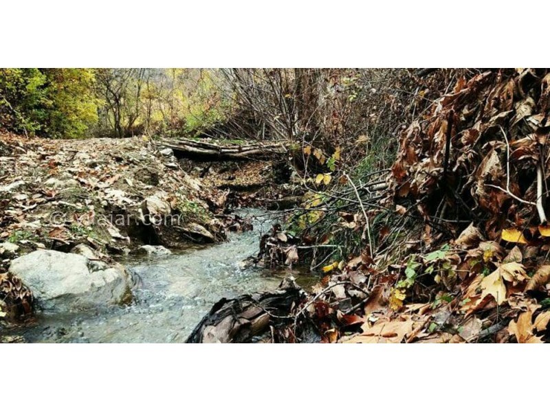 عکس شماره 626201 - خانه بومی زران -