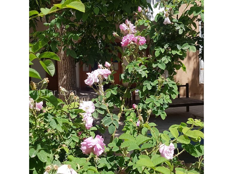 عکس شماره 626279 - اقامتگاه بوم گردی نی چشمه - 