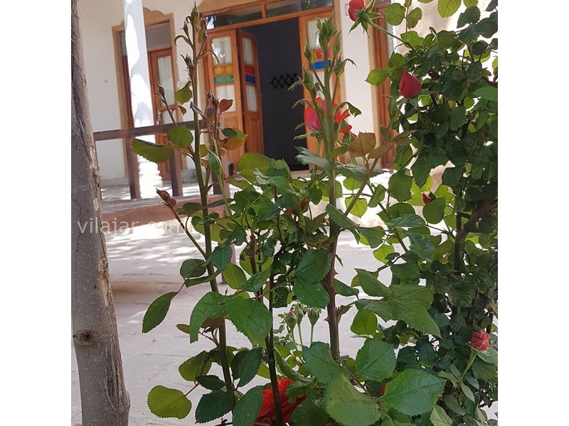 عکس شماره 626283 - اقامتگاه بوم گردی نی چشمه - 