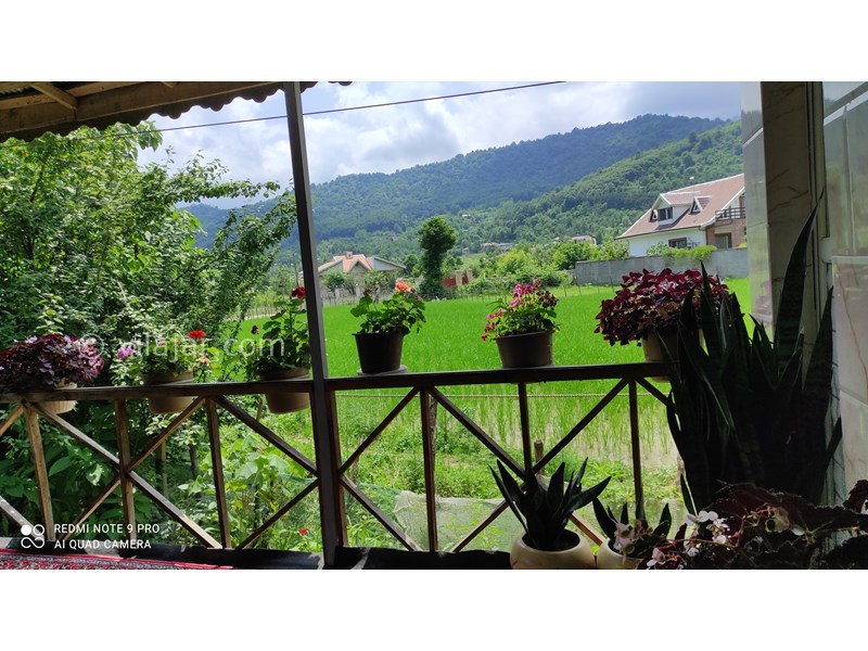 عکس شماره 626808 - ویلا با چشم انداز شالیزار - 