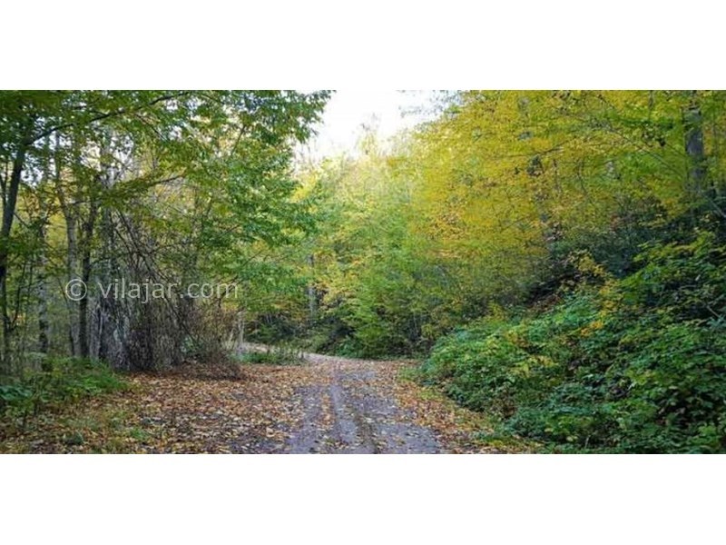 عکس شماره 626882 - اقامتگاه بوم گردی کلبه آبشار - 