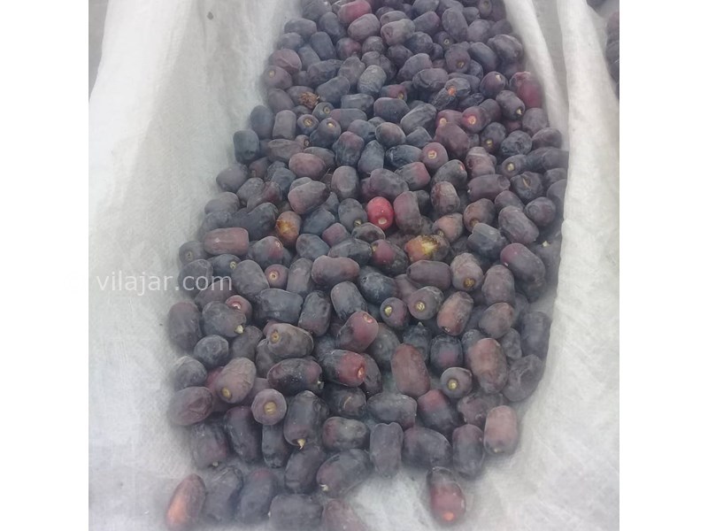 عکس شماره 626905 - اقامتگاه بوم گردی نخلستان - 