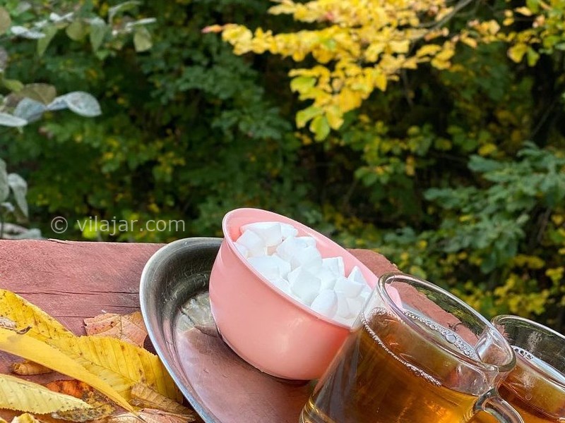 عکس شماره 627003 - اجاره ویلا در علی آباد کتول -