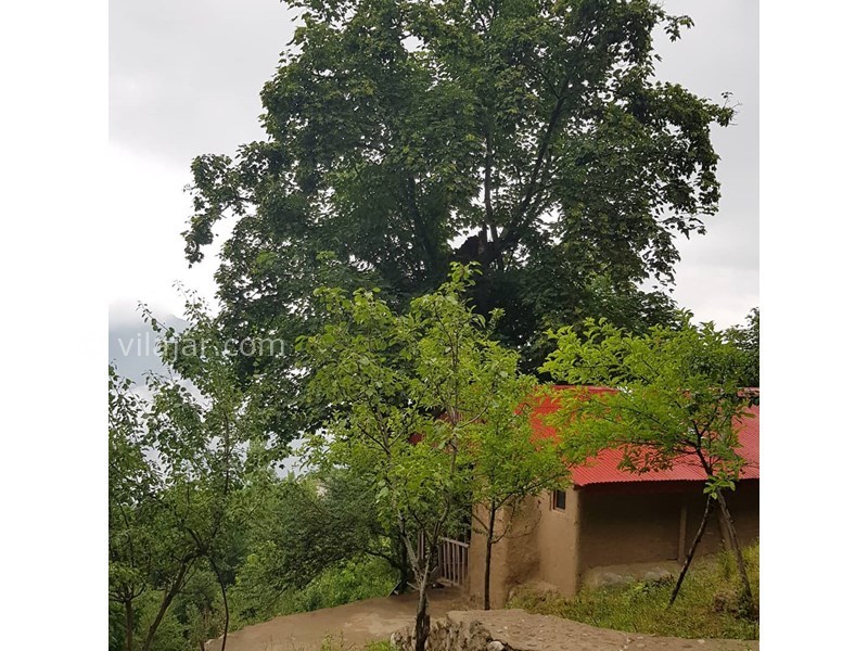 عکس شماره 627142 - اقامتگاه بوم گردی کلبه آبشار - 