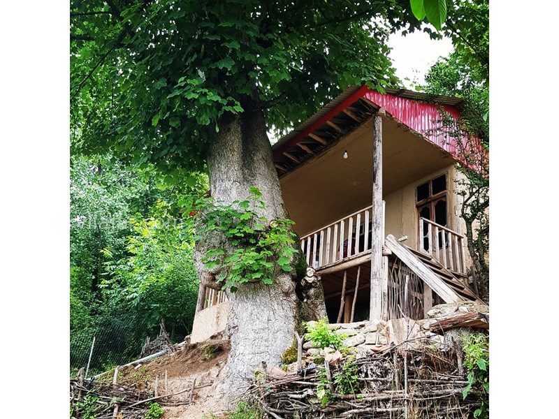 عکس شماره 627143 - اقامتگاه بوم گردی کلبه آبشار - 