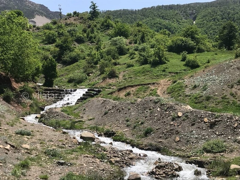 عکس شماره 627229 - اقامتگاه بوم گردی جیرا -