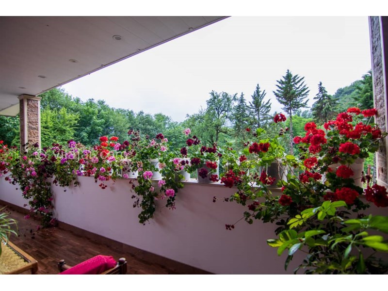 عکس شماره 627507 - اجاره ویلا در جاده جواهرده - 