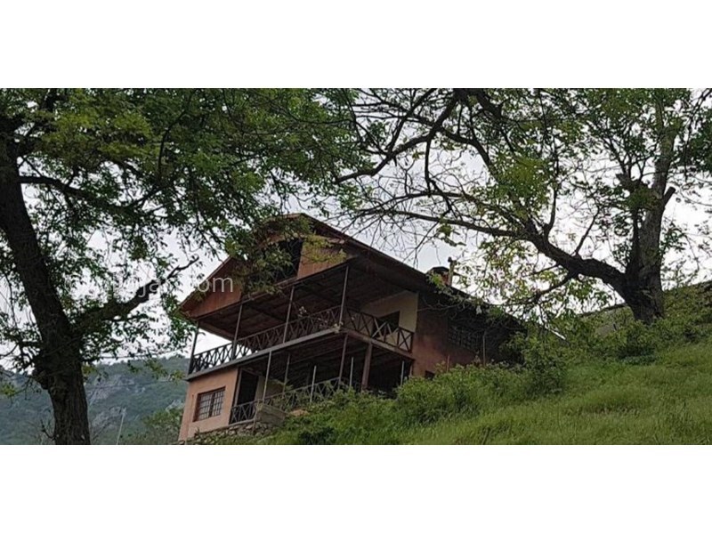 عکس شماره 627808 - کلبه اقامتی نیسا - 