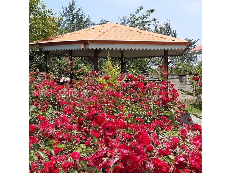 عکس شماره 627930 - اجاره کلبه چوبی در تالش - 