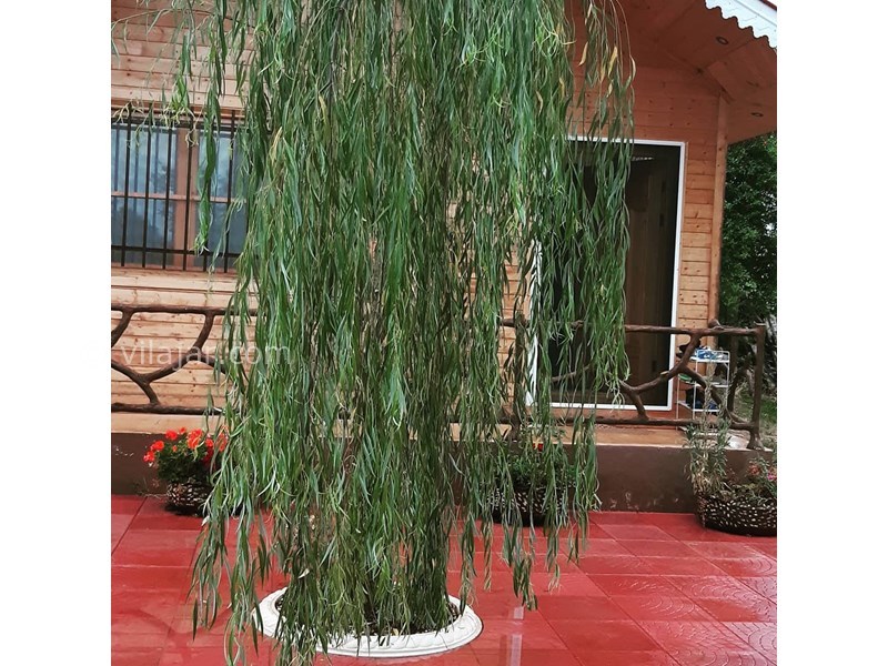 عکس شماره 627931 - اجاره کلبه چوبی در تالش - 