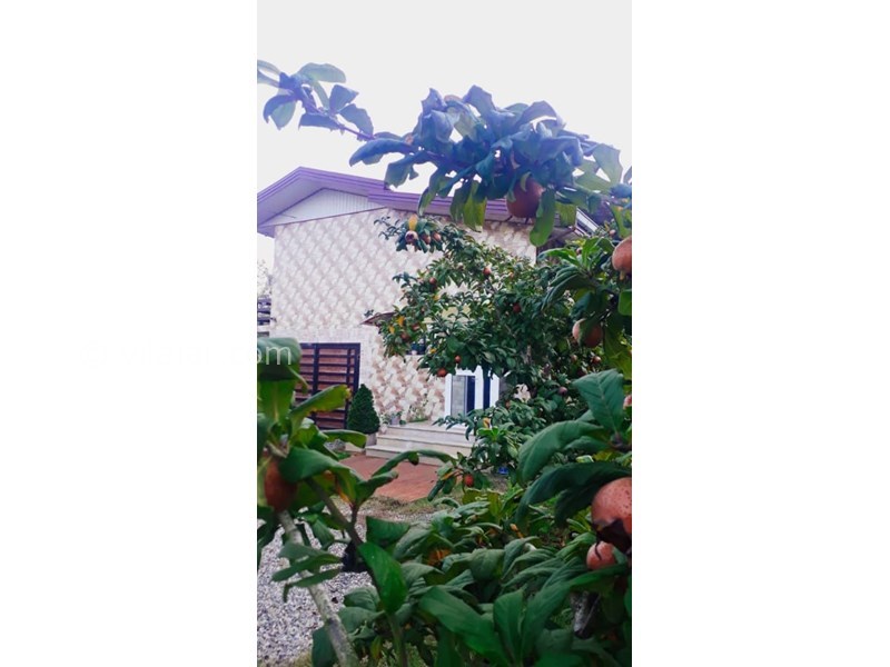 عکس شماره 627945 - اجاره ویلای ساحلی دربست تالش - 