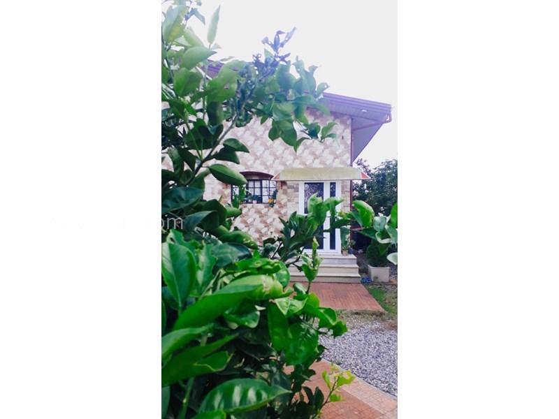 عکس شماره 627946 - اجاره ویلای ساحلی دربست تالش - 