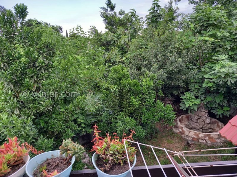 عکس شماره 627954 - اجاره ویلای ساحلی دربست تالش - 