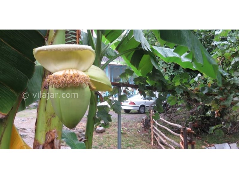 عکس شماره 628144 - اقامتگاه بوم گردی بام های سفالی - 