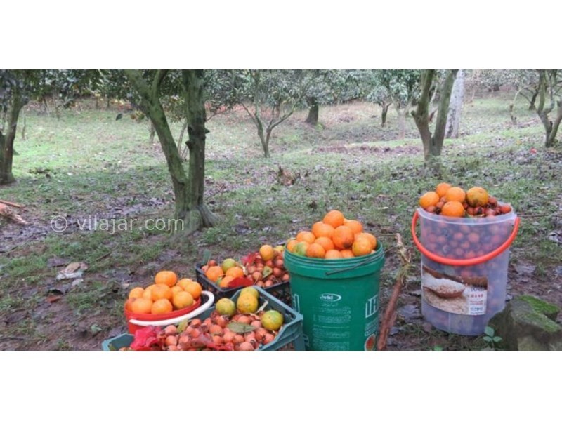 عکس شماره 628153 - اقامتگاه بوم گردی بام های سفالی - 