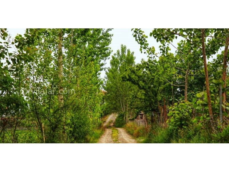 عکس شماره 628166 - اقامتگاه بوم گردی لیجار - 