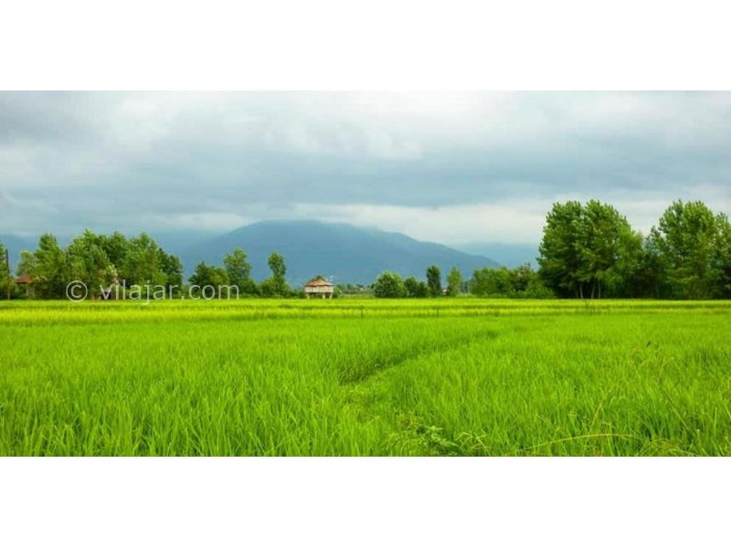 عکس شماره 628170 - اقامتگاه بوم گردی لیجار - 