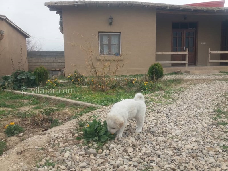 عکس شماره 628196 - اقامتگاه بوم گردی ترکمن ایل -