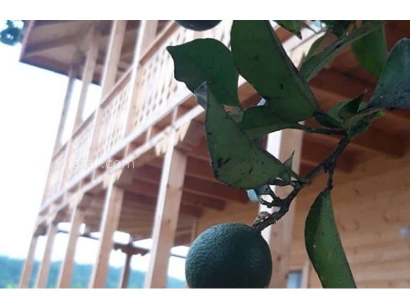 عکس شماره 628274 - اقامتگاه بومگردی گلناز -