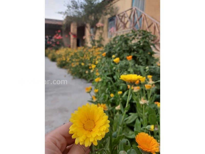 عکس شماره 628686 - اقامتگاه بوم گردی ننه بی بی - 